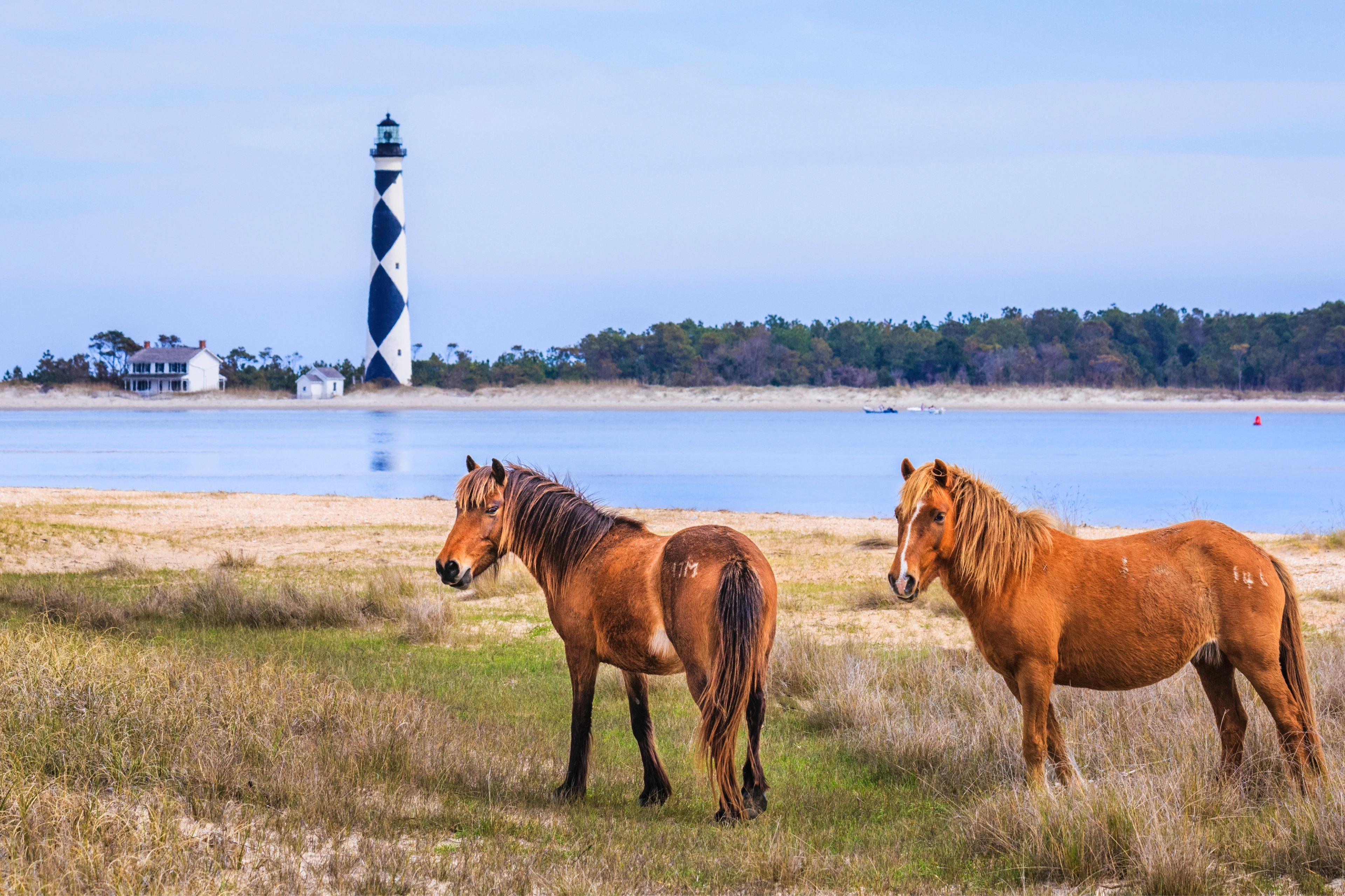 Beaufort