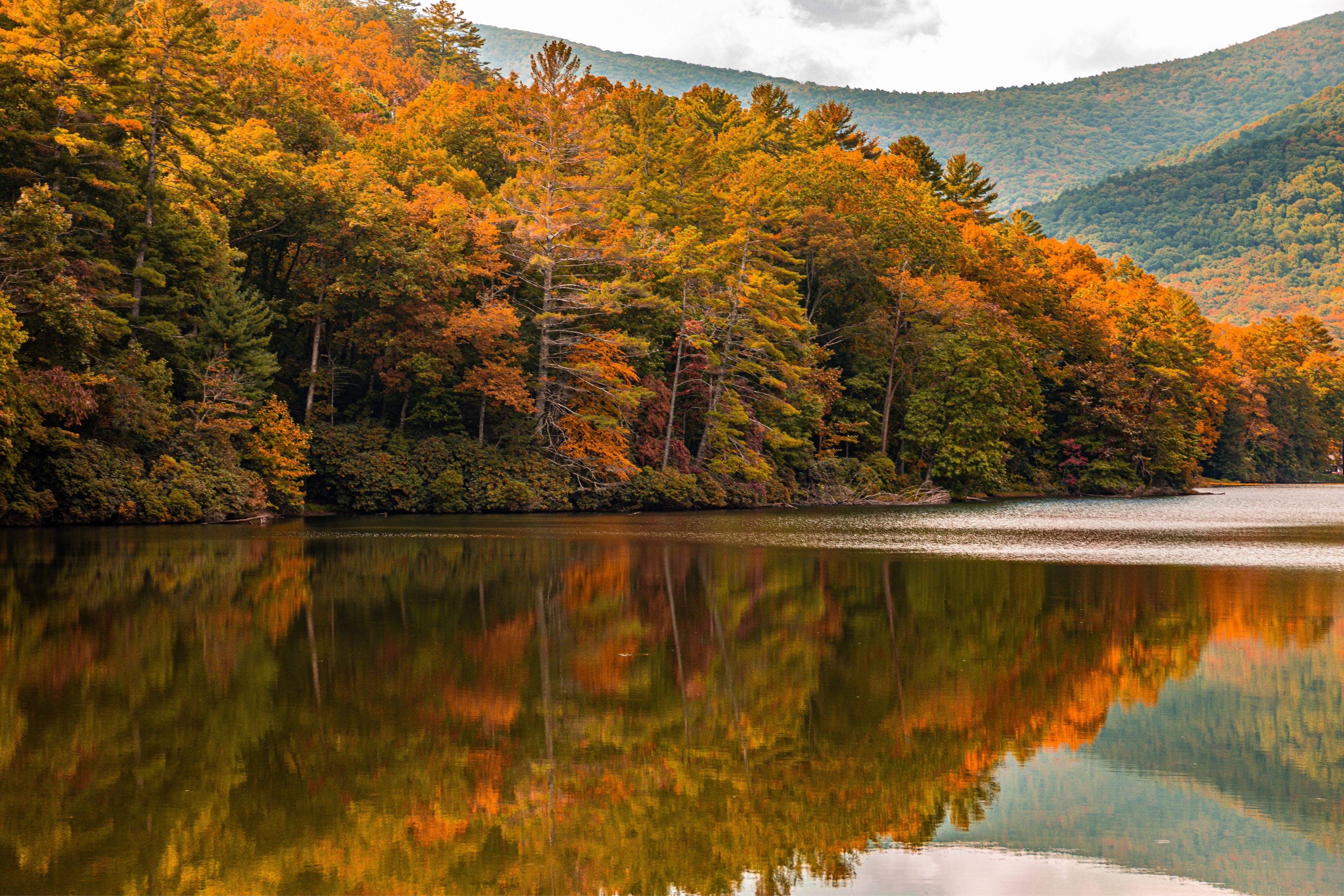 Nottely Lake