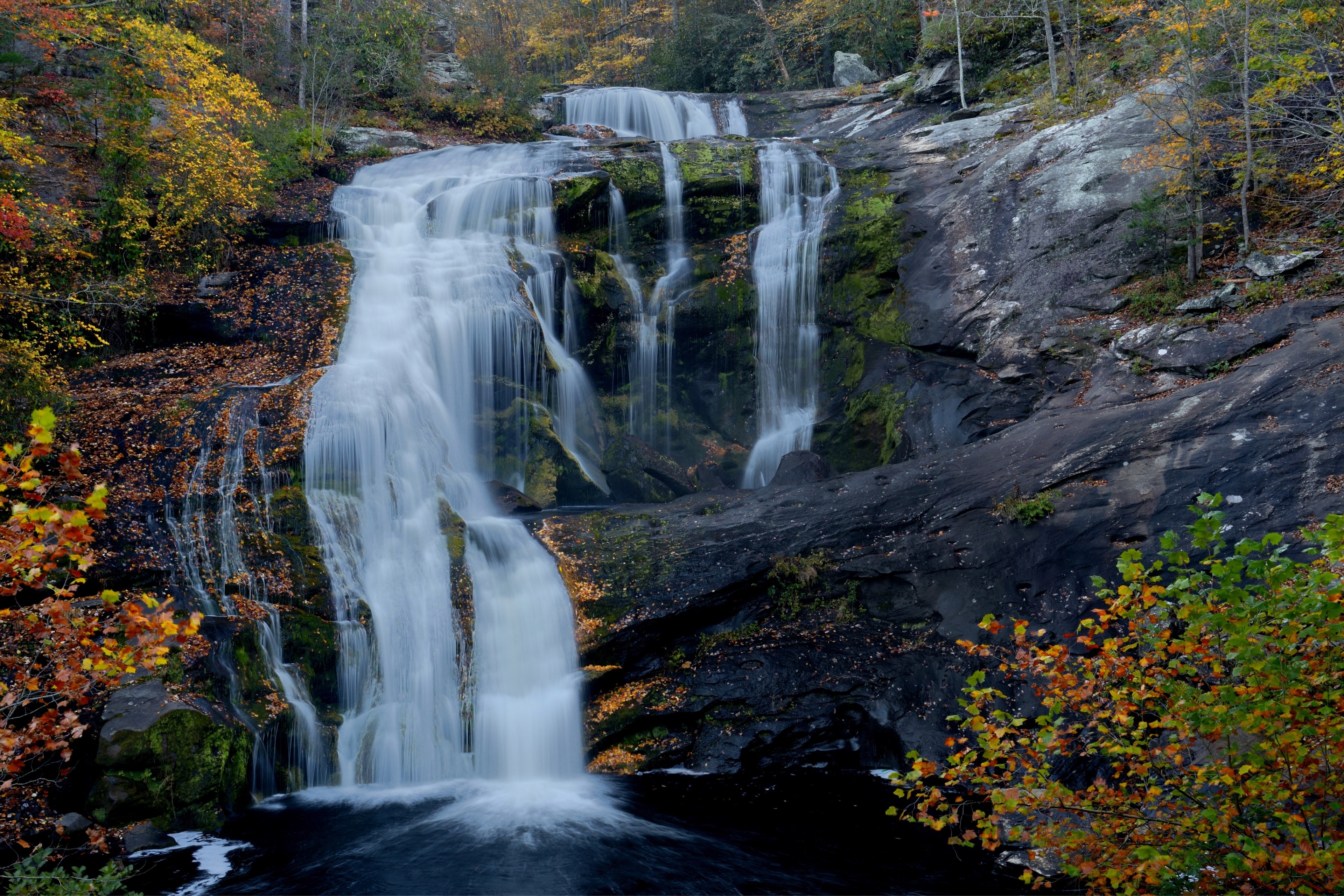 Tellico Plains