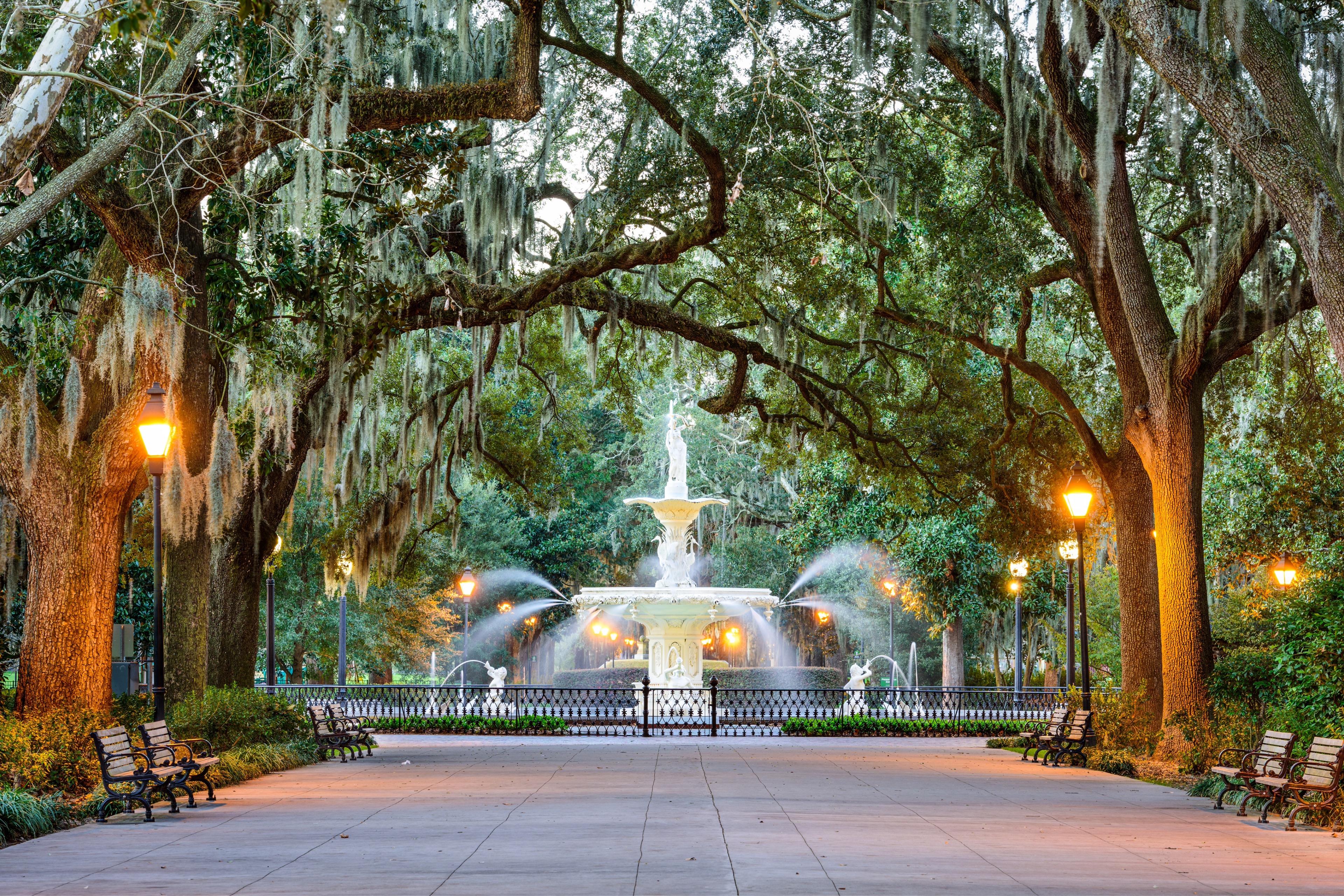 Savannah