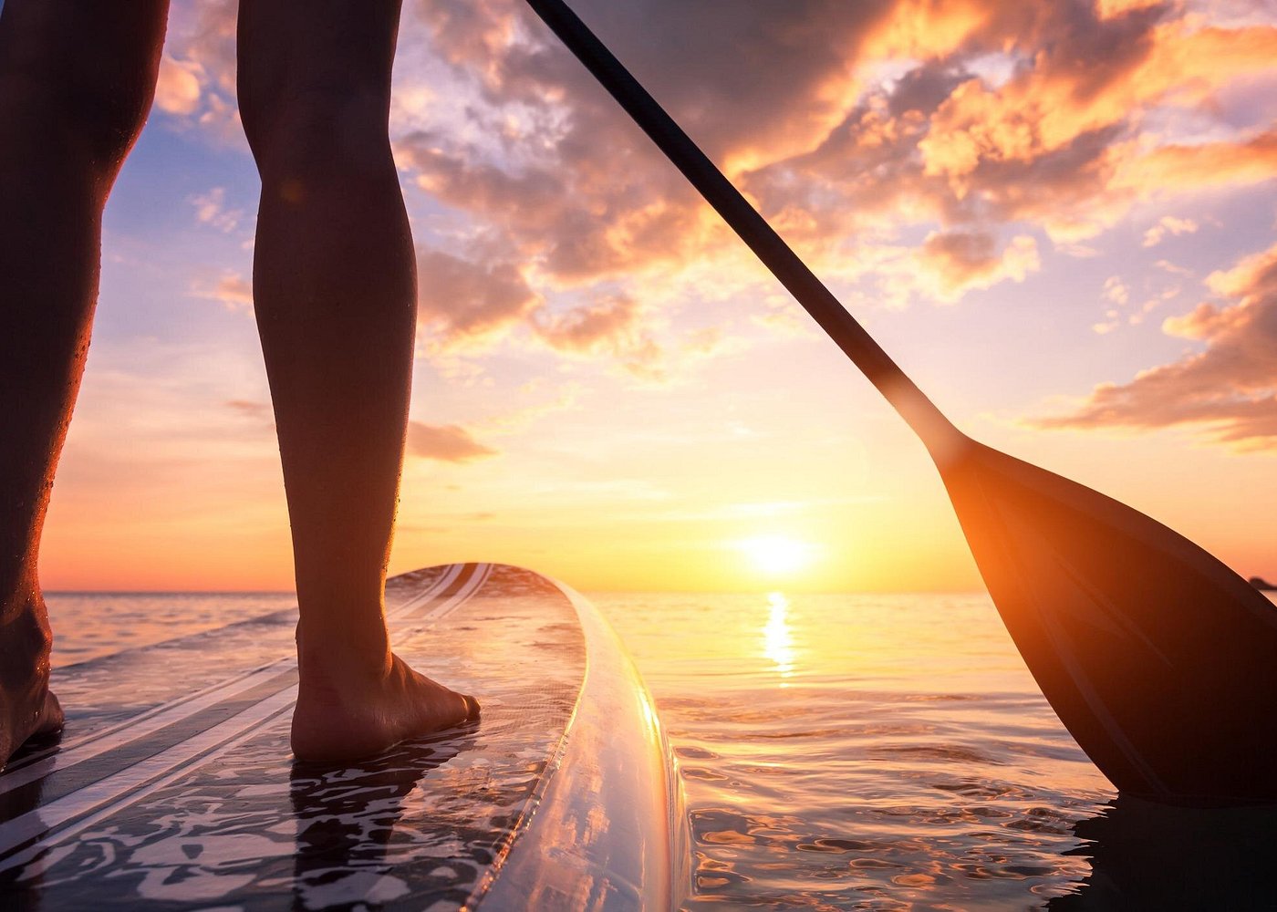 Charleston/Folly Beach Stand up Paddleboard Tour