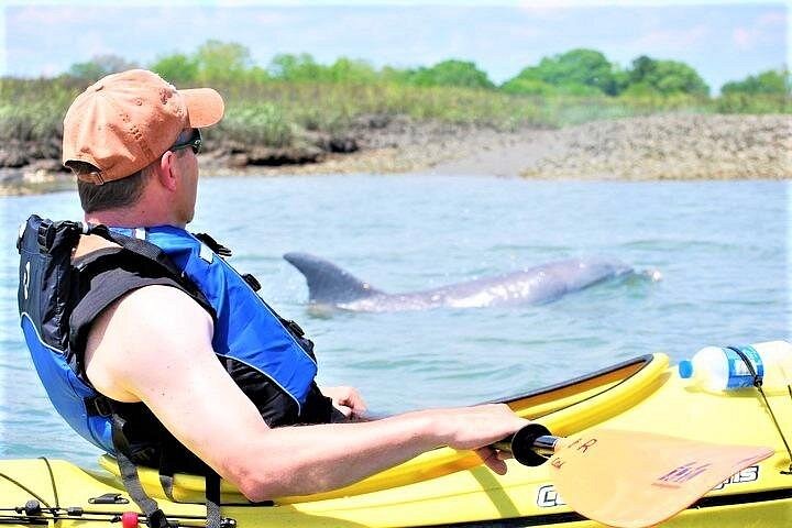 Guided Kayak Creek Adventure In Charleston