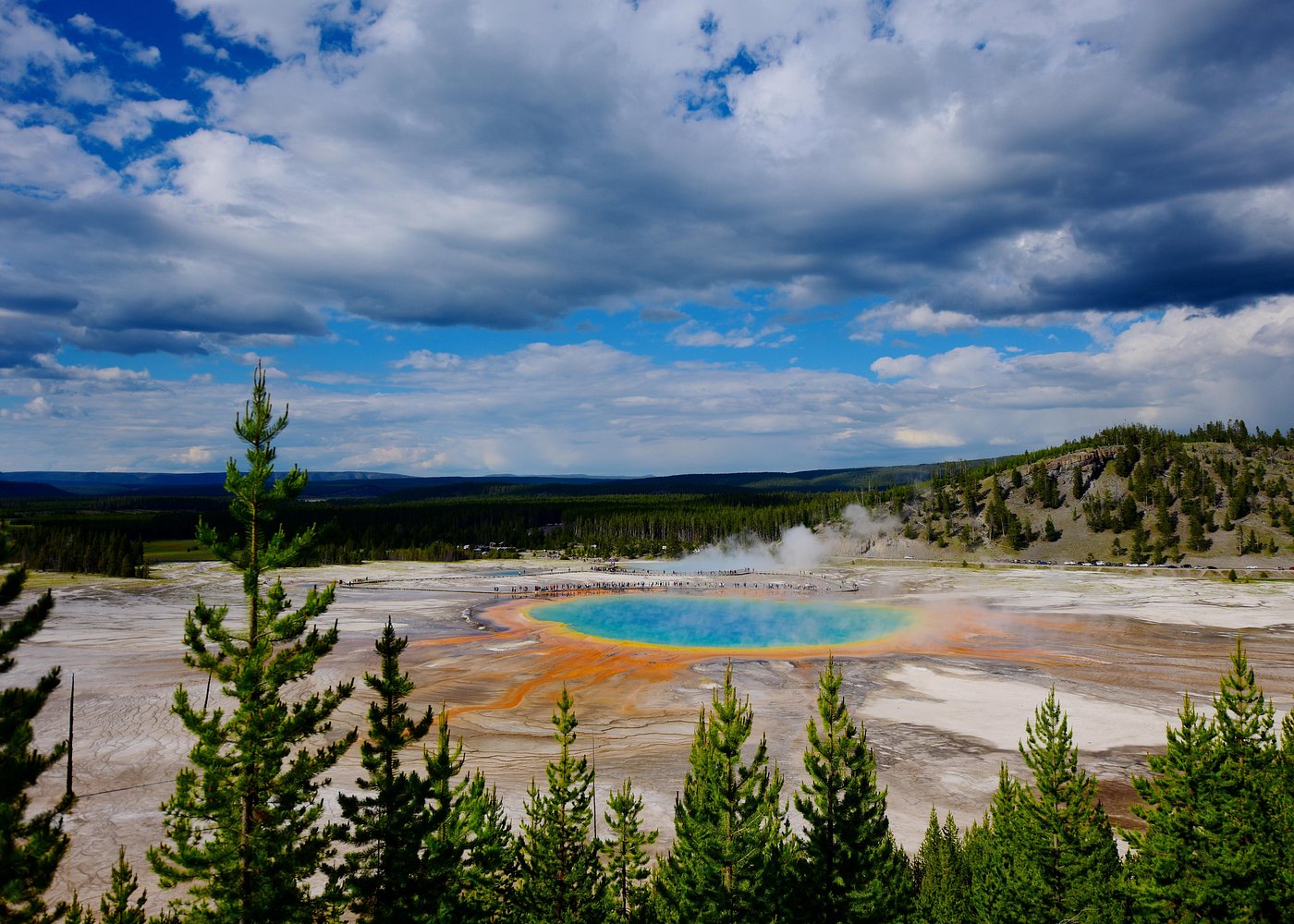 Private Yellowstone Tour: ICONIC Sites, Wildlife, Family Friendly Hikes + lunch